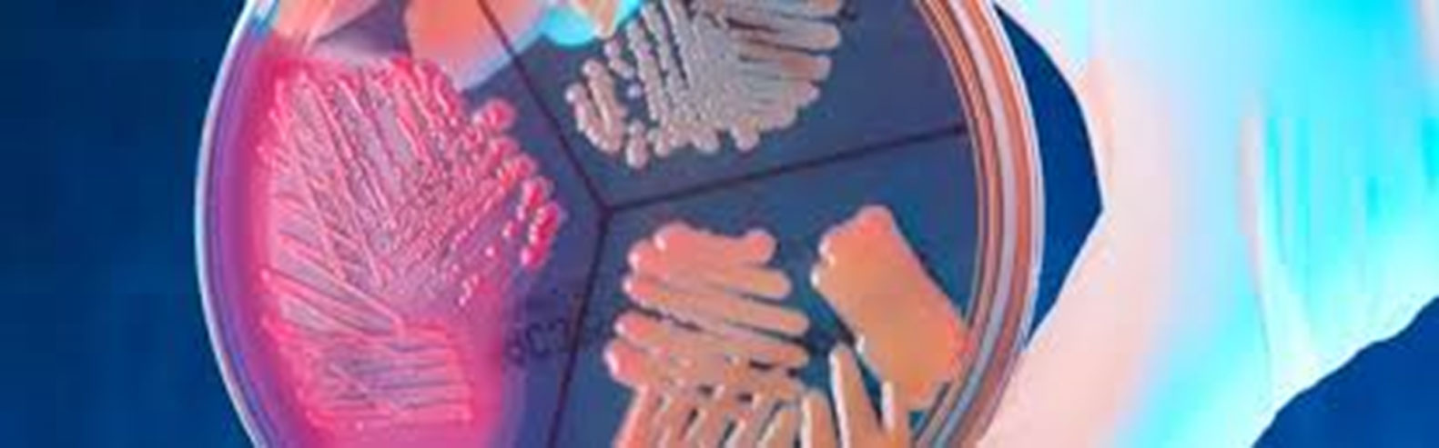 Microbiolgico ambientes